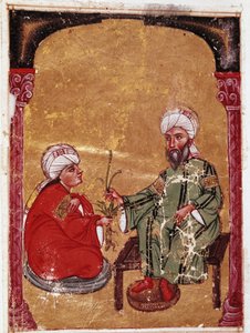 The Doctor and Botanist Pedanius Dioscorides Sitting with One of His Students