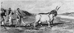 The Foundation of Rome (19th Century Engraving)