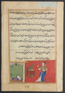 The parrot addresses Khujasta at the beginning of the forty-seventh night, from a Tuti-nama (Tales of a Parrot): Forty-seventh Night by Unknown artist