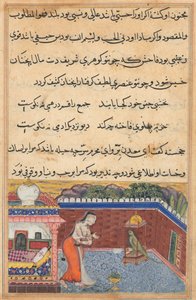 The parrot addresses Khujasta at the beginning of the thirty-first night (Tales of a Parrot)