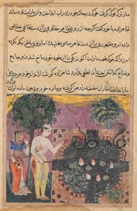 The prince, having deprived the snake of its natural food, a frog, feeds it with a piece of his own flesh, from a Tuti-nama (Tales of a Parrot): Eighteenth Night