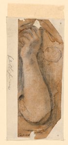 The Raised Forearm of a Woman by Unknown artist