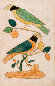 Two Birds