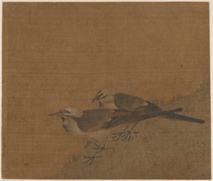 Two Pied Wagtails by Unknown artist