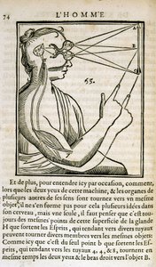 Unknown Image