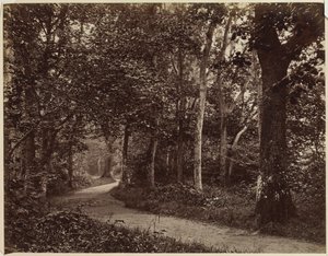 Untitled (Landscape)
