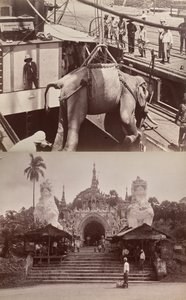 Untitled: (elephant being loaded onto a ship); (steps and building) by Unknown artist