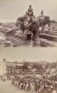 Untitled (elephants moving blocks of wood, recto; procession or crowd, verso)