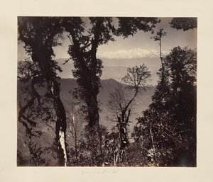 View from Senchal