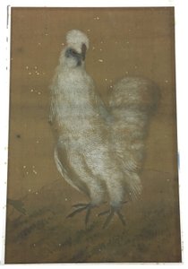 White Rooster by Unknown artist