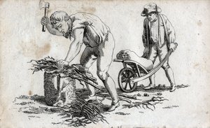 Woodmen making bundles of wood and man carrying bundles on a wheelbarrow