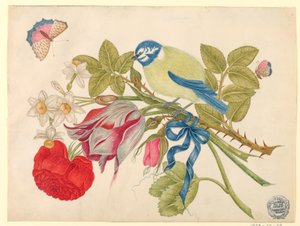 Yellow-and-Blue Bird on Bouquet with Rose, Tulips, and Daffodils, with Butterflies by Unknown artist