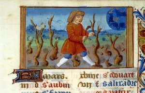 Zodiac Aries and tree size - Miniature of the Middle Ages by Unknown artist