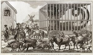 Zoomorphism - Caricature against Mary - Antoinette by Unknown artist