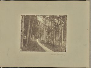 Avenue Tiendong by Unknown artist/maker