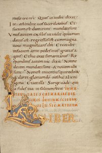 Decorated Initial L by Unknown artist/maker
