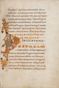 Decorated Initial P by Unknown artist/maker
