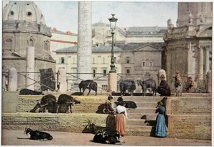 Ancient Rome: View of the Roman Forum. Italy, Late 19th Century