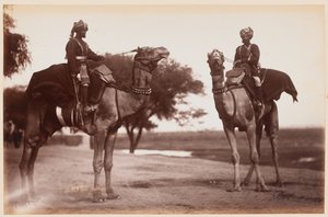 Camel Sowars at the Delhi Camp of Exercise
