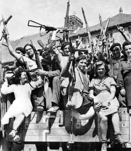 French Partisan Snipers Liberating a Village in Normandy, June-July 1944