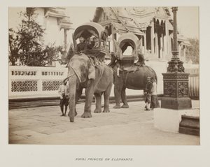 Photograph in photograph album by Unknown photographer