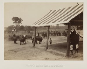 Photograph in Photograph Album