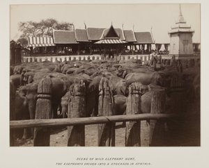 Photograph in photograph album