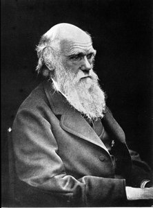 Photographic Portrait of Charles Darwin, English Naturalist (1881)