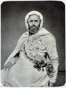 Portrait of Abd-el-Kader in 1875 - Photograph