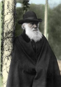 Portrait photograph of Charles Darwin, English naturalist in 1881 by Unknown photographer