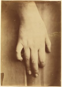 Study of a Hand, 1865