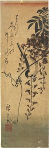 Bird on Wisteria Branch