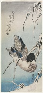Duck and Snowy Reeds