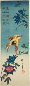 (Facsimile?) Black-naped Oriole and Clematis by Utagawa Hiroshige