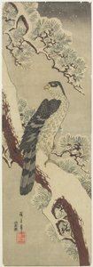 Hawk on Pine Branch, Winter, early 19th century