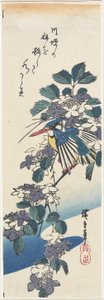 Kingfisher and Hydrangea