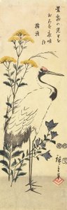 Patrinia, Chinese Bellflower and a Crane, March 1853