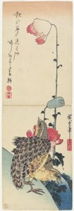 Quail and Poppies
