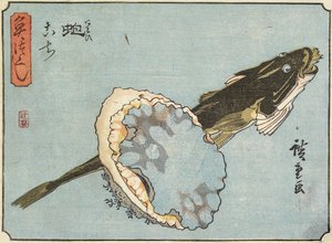Abalone and Flathead, 1830-1844