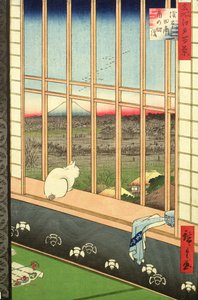 Asakusa Rice Fields during the festival of the Cock from the series 