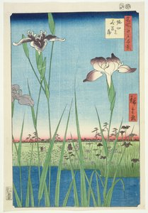 Irises at Horikin, No.56 in the series 