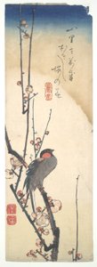 Bird and Plum Tree