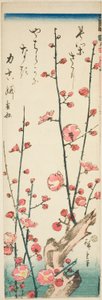 Blossoming Plum Branches by Utagawa Hiroshige