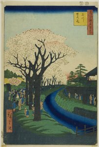 Blossoms on the Tama River Embankment, from the series 