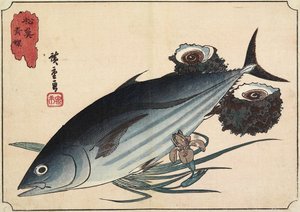 Bonito and Top Shells