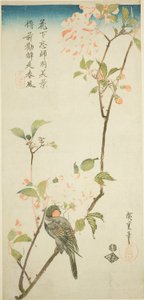 Bullfinch on Aronia Branch by Utagawa Hiroshige
