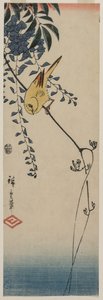 Canary and Wisteria by Utagawa Hiroshige