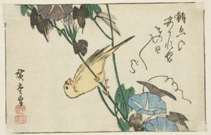 Canary and Morning Glories by Utagawa Hiroshige