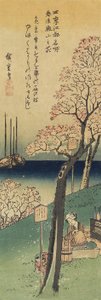 Cherry Blossoms on Gotenyama, Spring