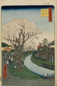 Cherry Blossoms on the Banks of the Tama River One Hundred Famous Views of Edo, 1856-1858 by Utagawa Hiroshige
